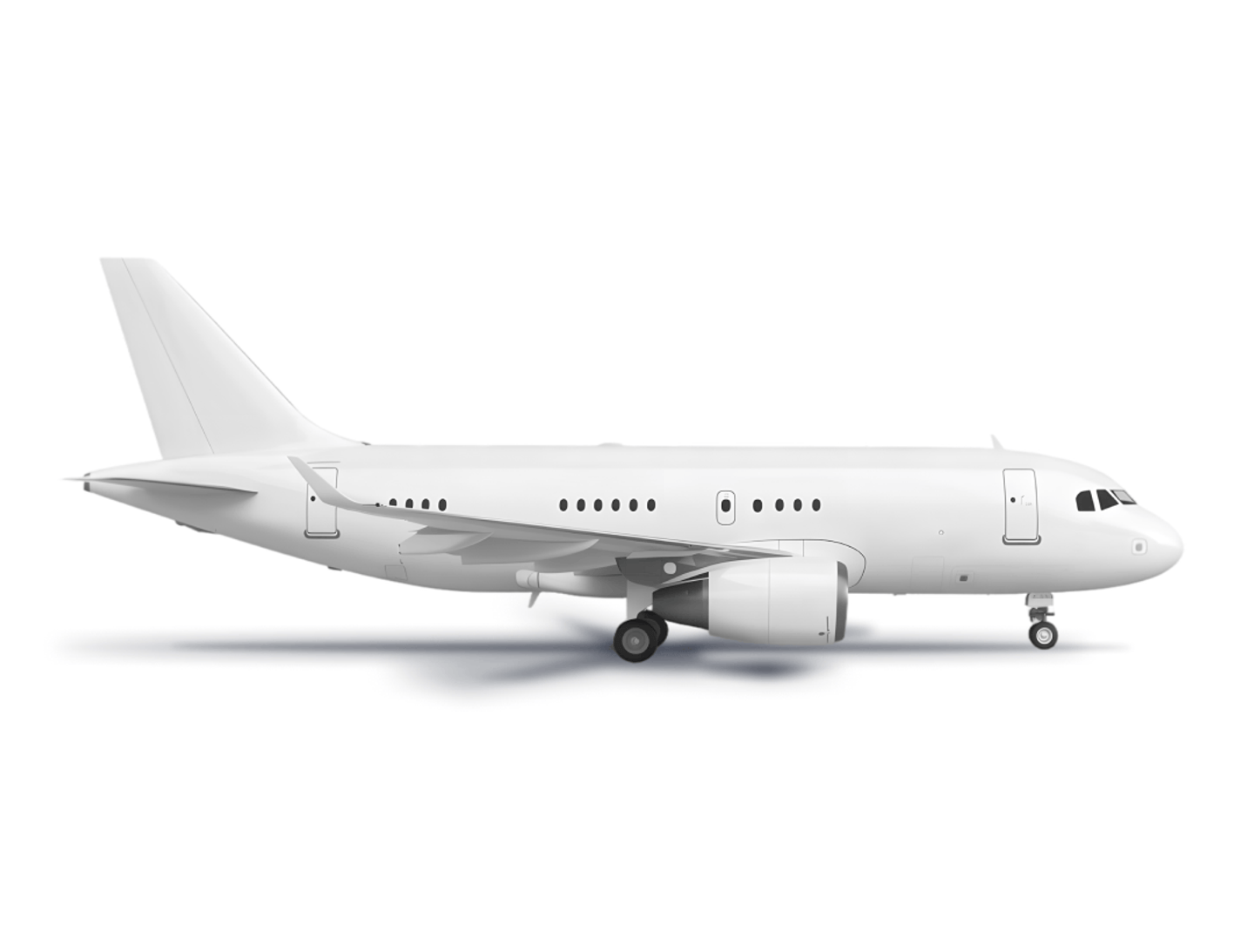 Airbus 318 Elite